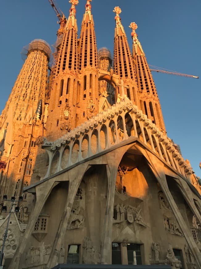 Lugar Basílica Sagrada Familia