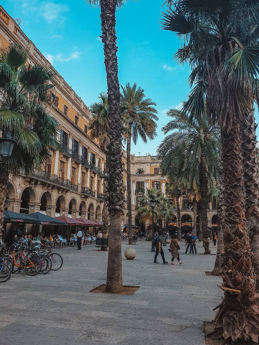 Lugar Plaça Reial