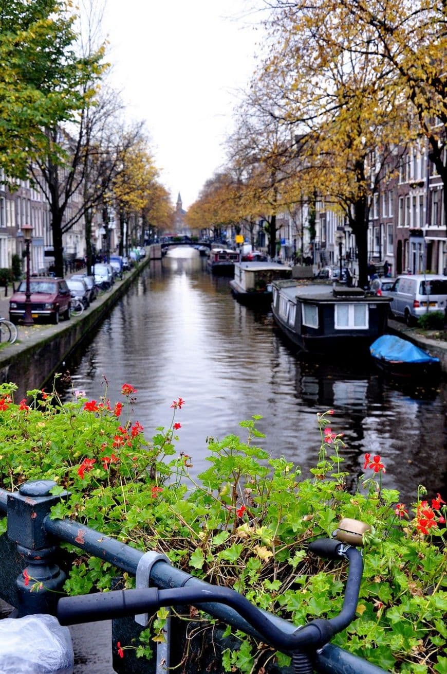 Place Canales de Ámsterdam