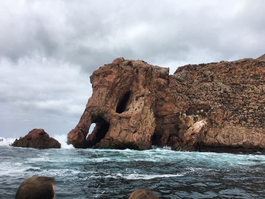 Place Berlengas Natural Reserve