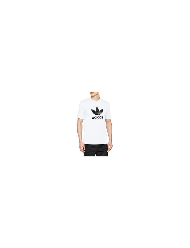 Fitness adidas Trefoil T-Shirt T-Shirt