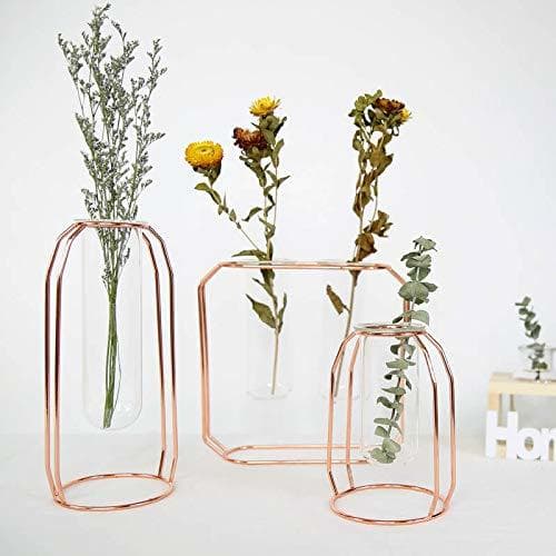 Product Simple Modern Metal Flower Stand Test Tube Transparent Glass Vase Creative Home