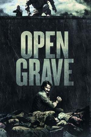 Película Open Grave