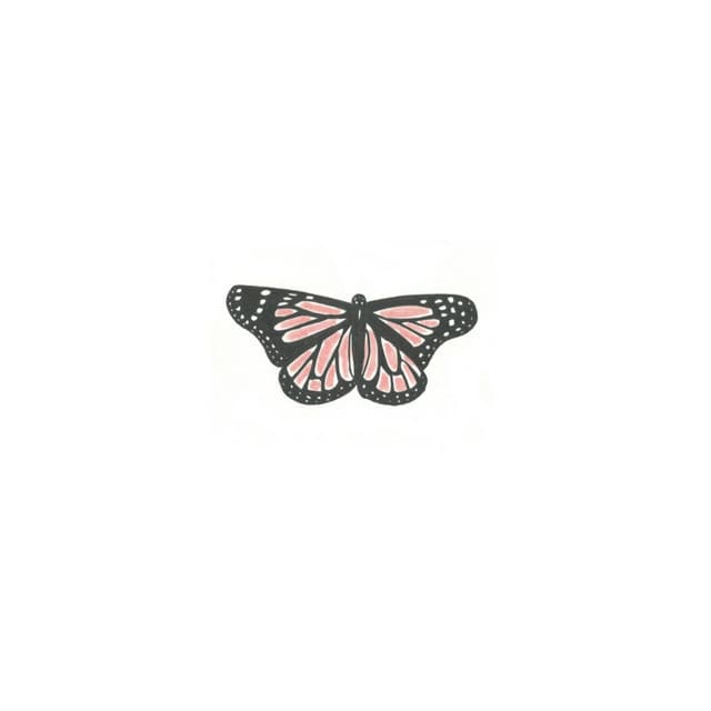 Canción Butterfly