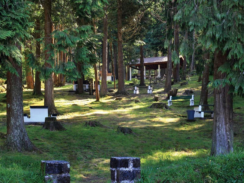 Lugar Parque de Merendas do Cerrado dos Bezerros