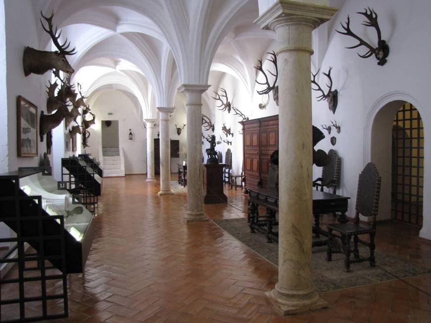 Place Museu da Caça