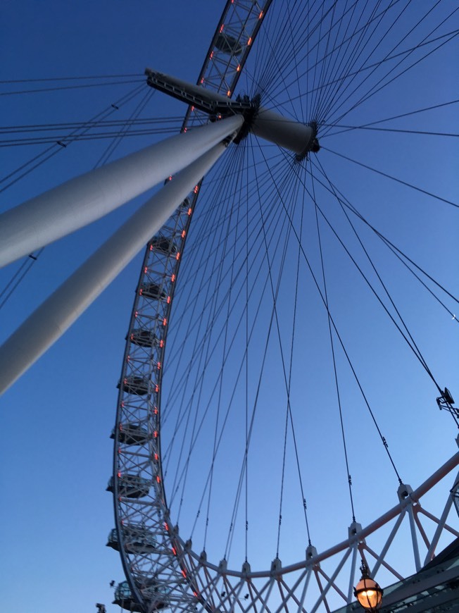 Place London Eye