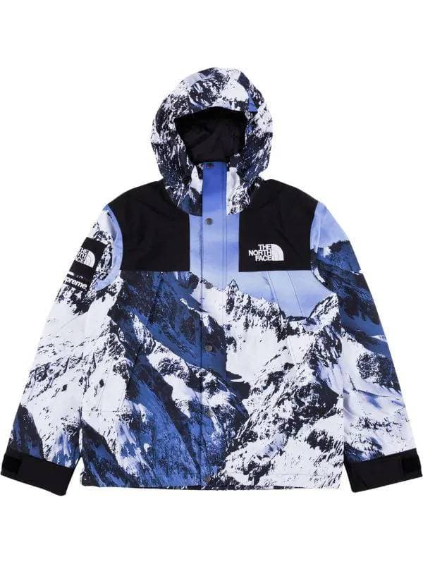 Moda Supreme x The North Face mountain print parka