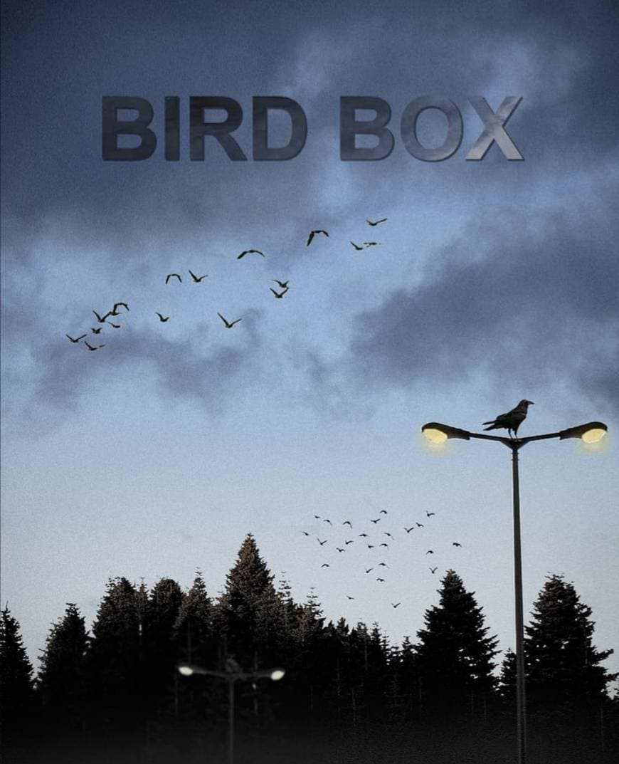 Fashion Birdbox