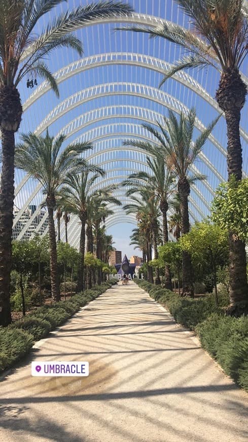 Place L'Umbracle