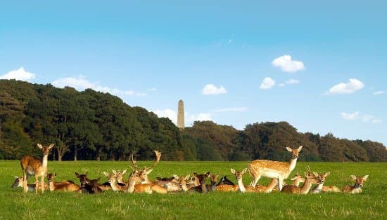 Place Phoenix Park