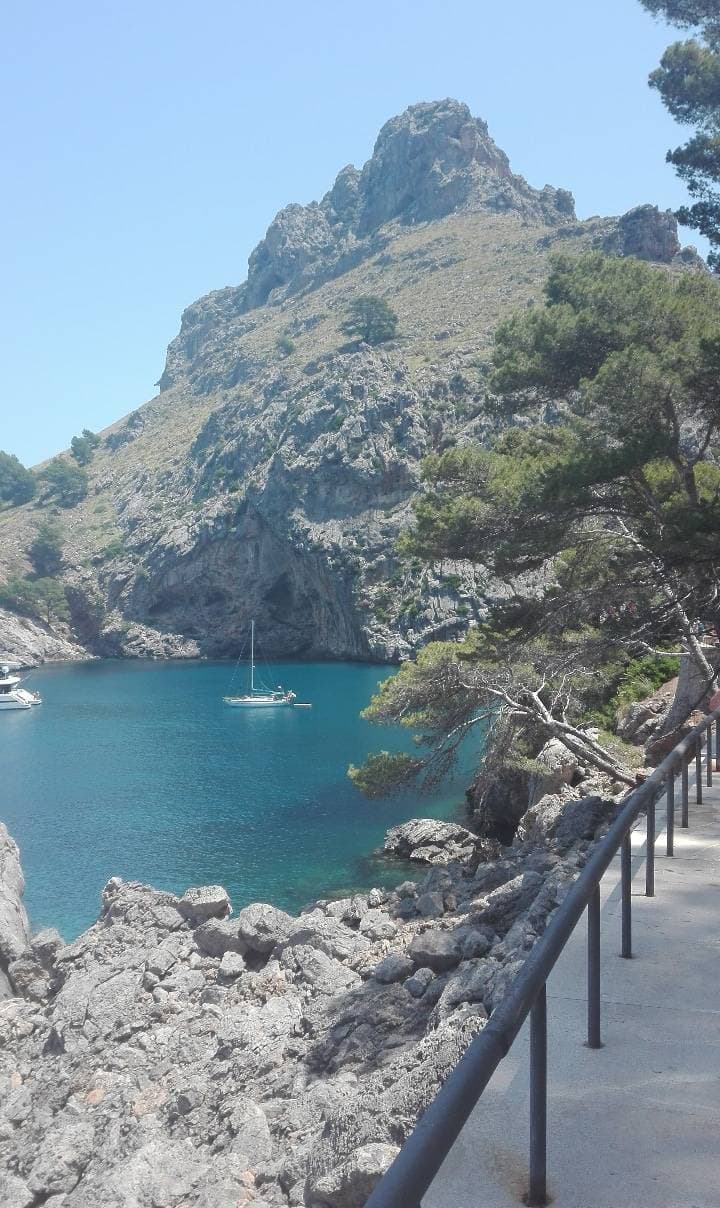 Lugar Sa Calobra