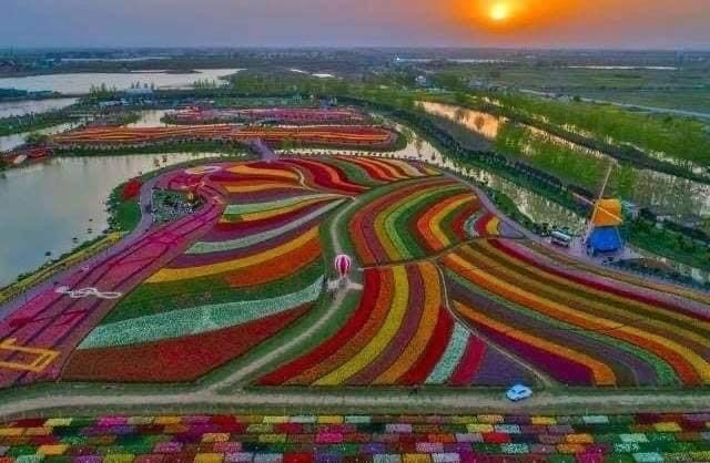 Lugar Keukenhof