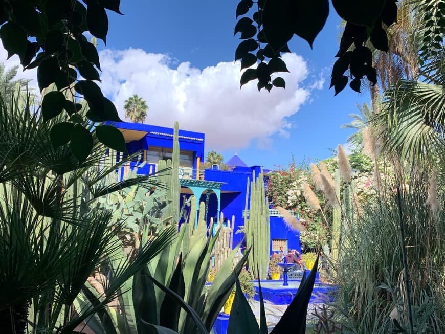 Lugar Jardín Majorelle