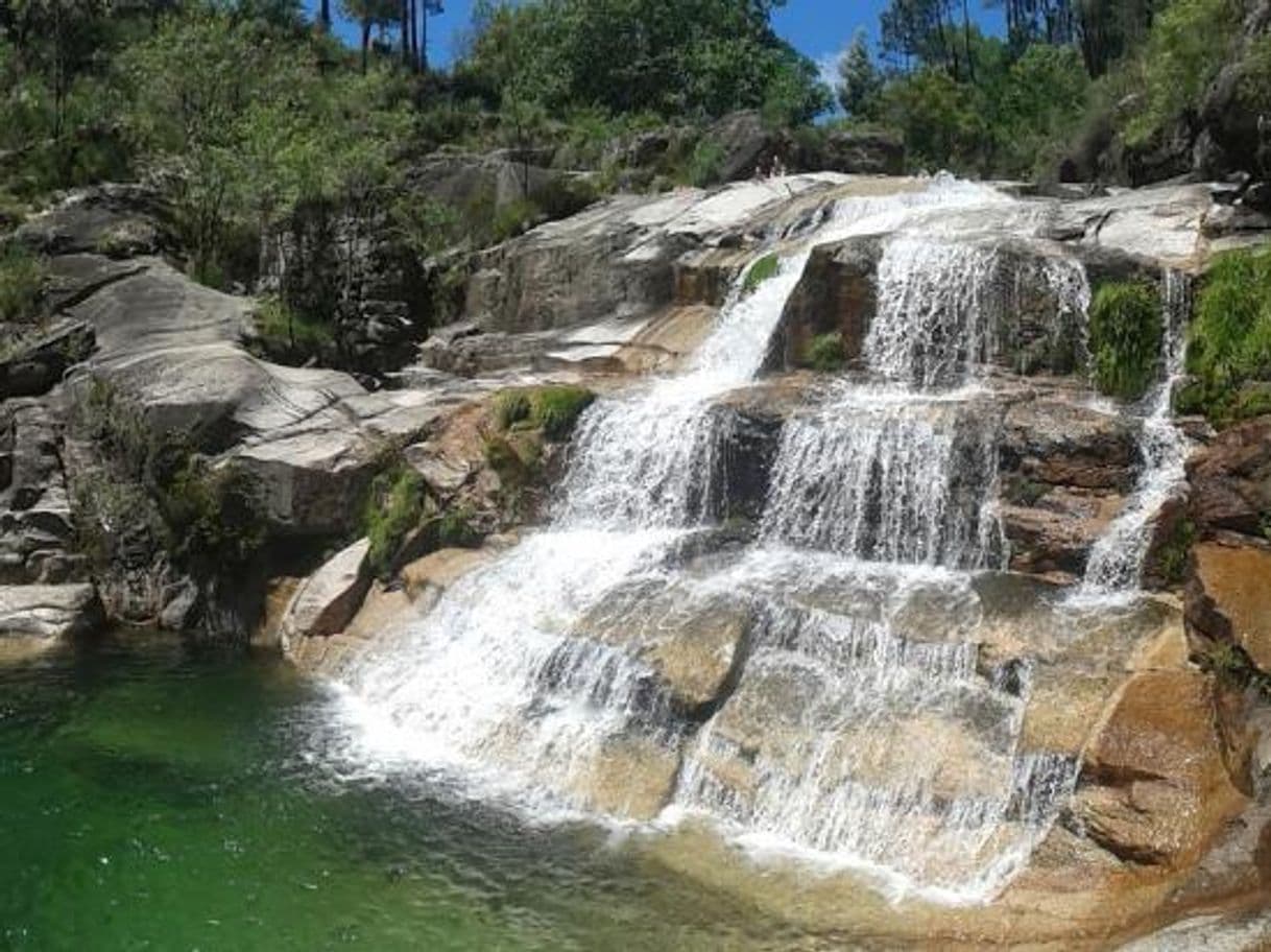 Moda Cascata do tahiti