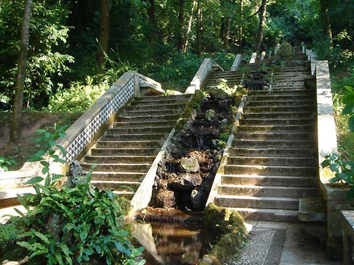 Lugar Serra do Buçaco