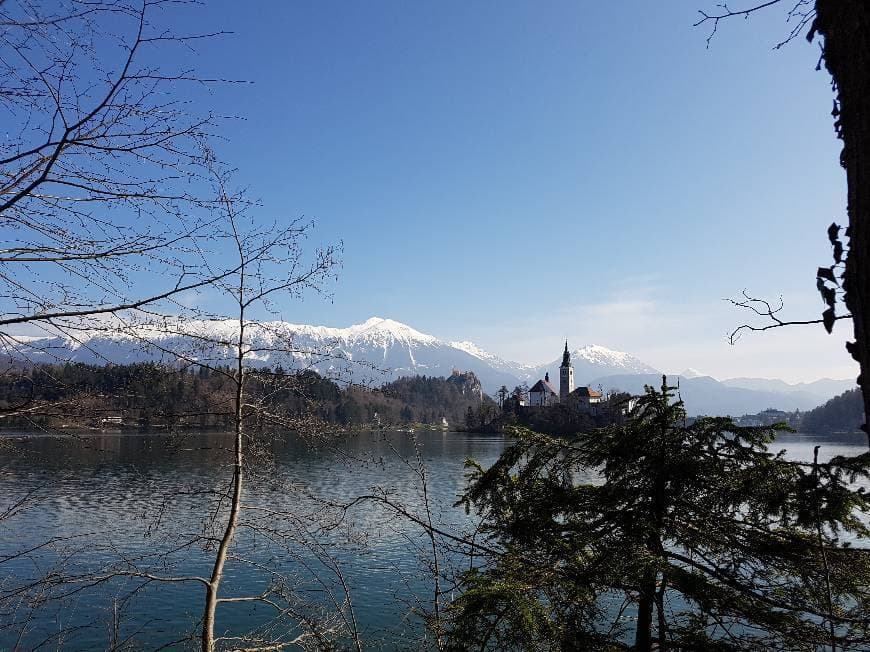 Place Lago Bled