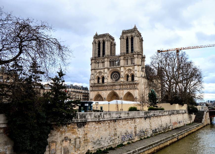 Lugar Catedral de Notre Dame