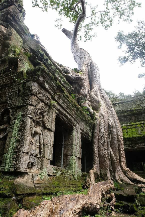 Place Angkor Wat Temple Guides - San Park