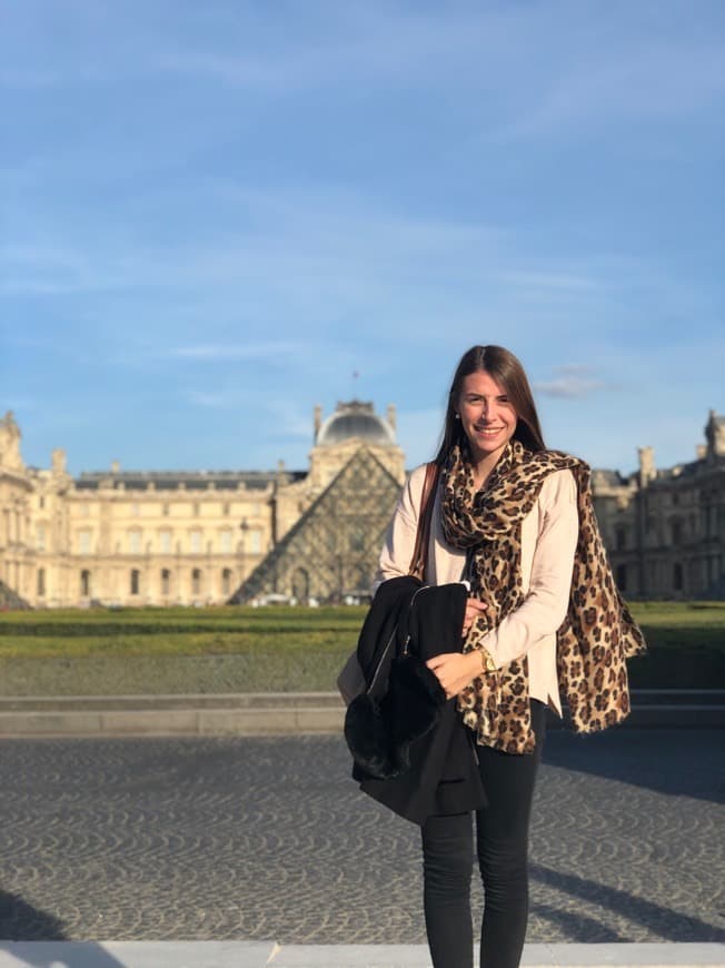 Lugar Museo del Louvre