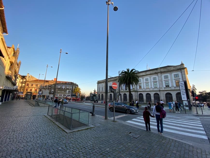 Place Fuente de los Leones