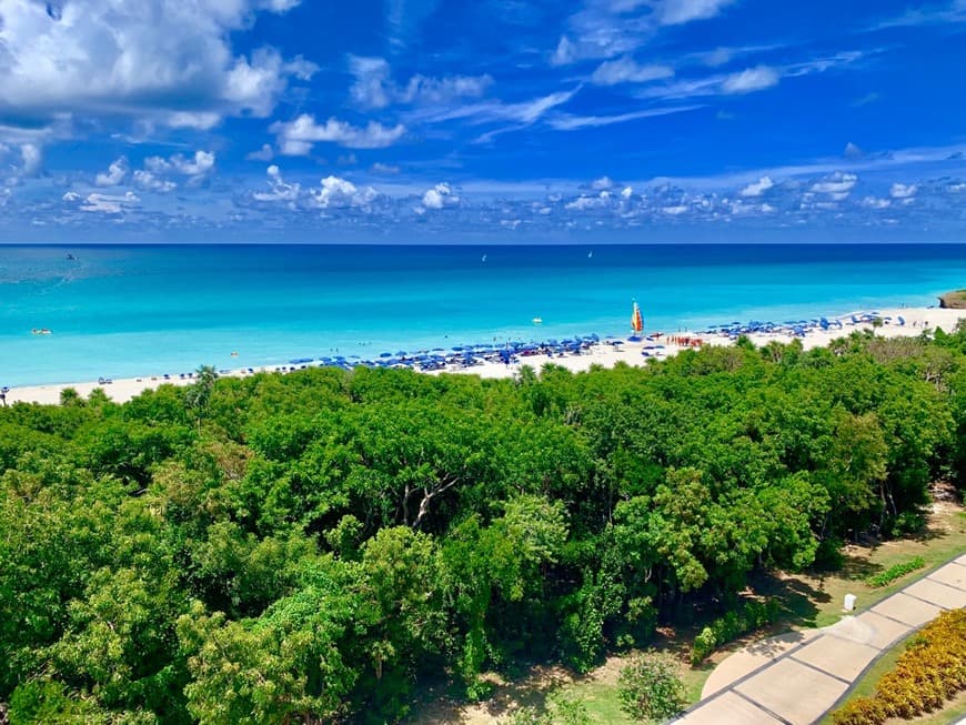 Lugar Iberostar Bella Vista Varadero