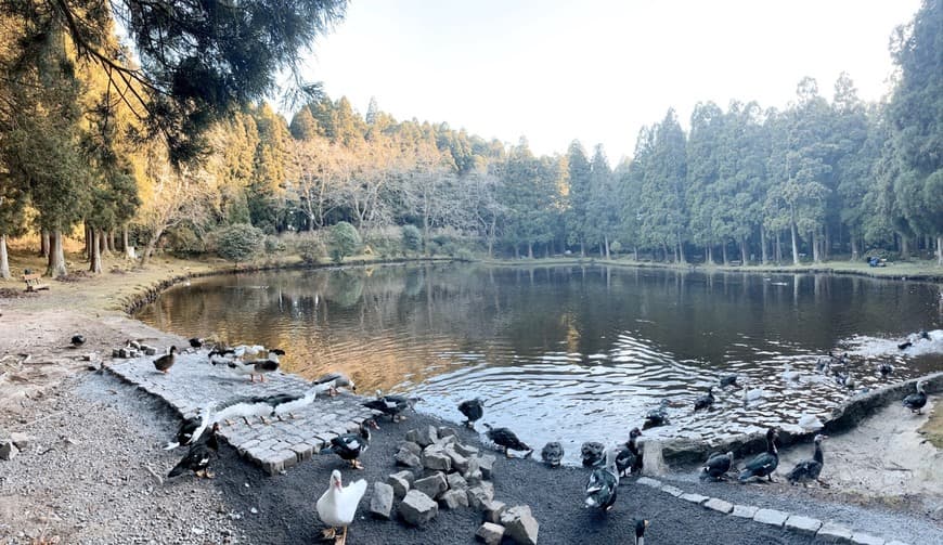 Lugar Lagoa das Patas