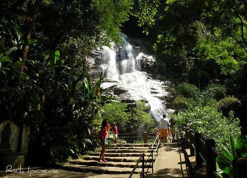 Lugar Floresta da Tijuca