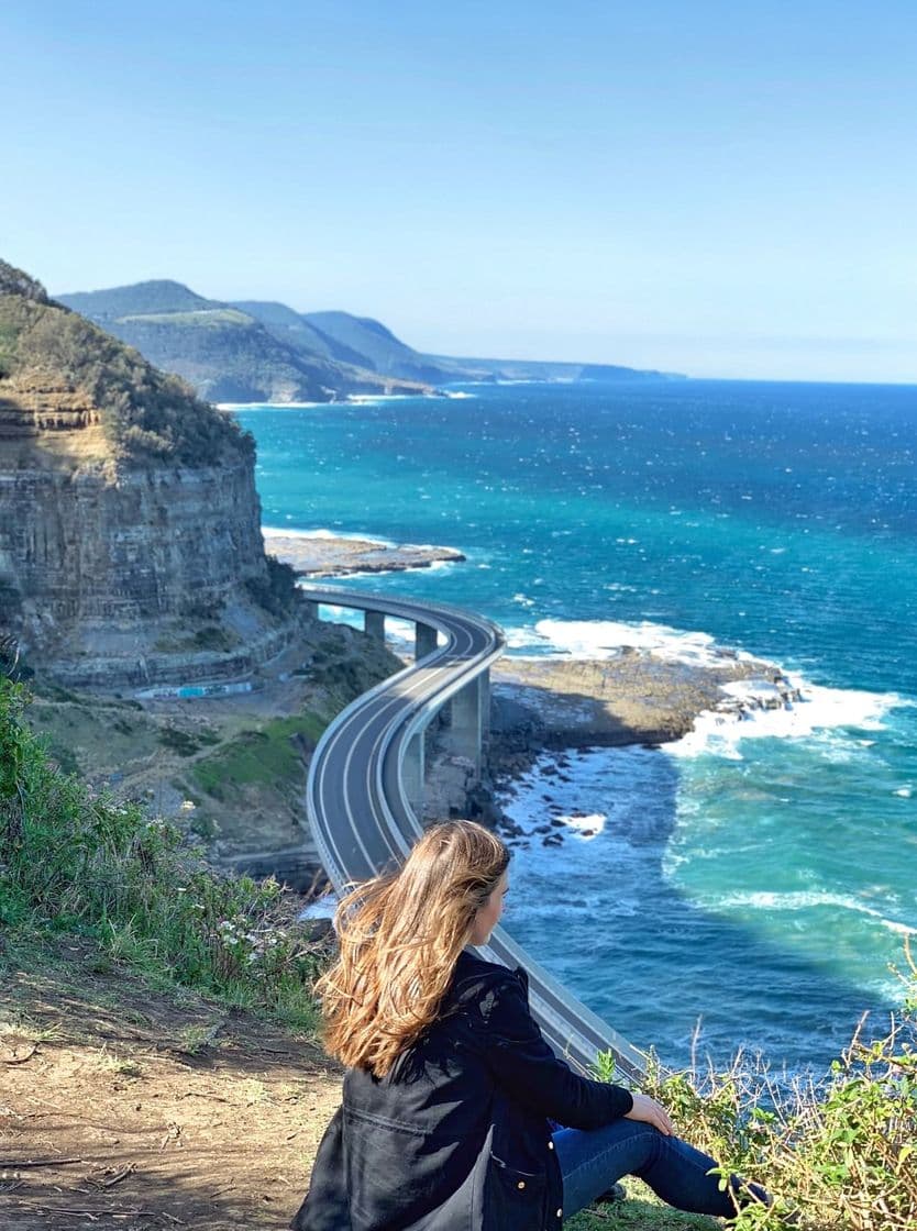 Place Sea Cliff Bridge