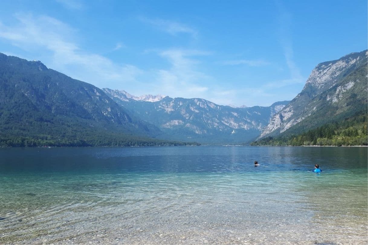 Place Bohinj