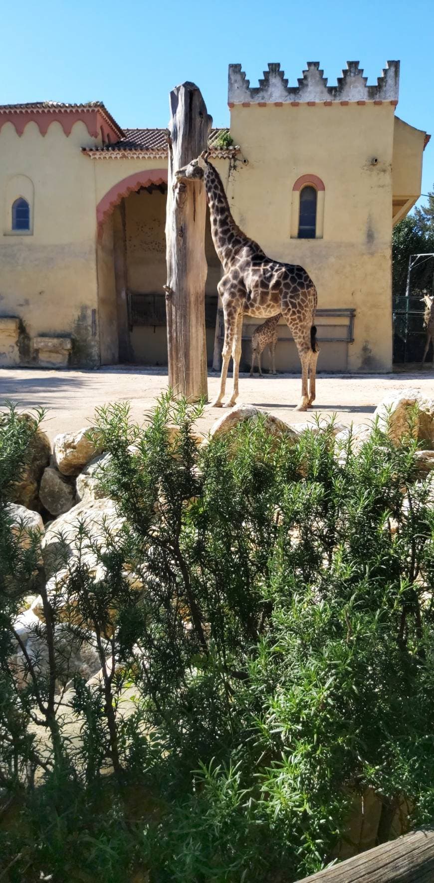 Lugar Jardim Zoológico de Lisboa