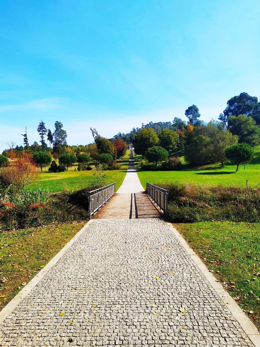 Lugar Parque Da Cidade