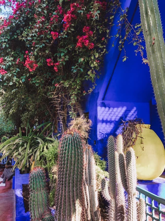 Place Jardín Majorelle