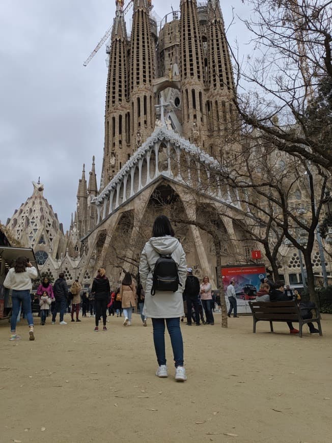 Lugar Basílica Sagrada Familia