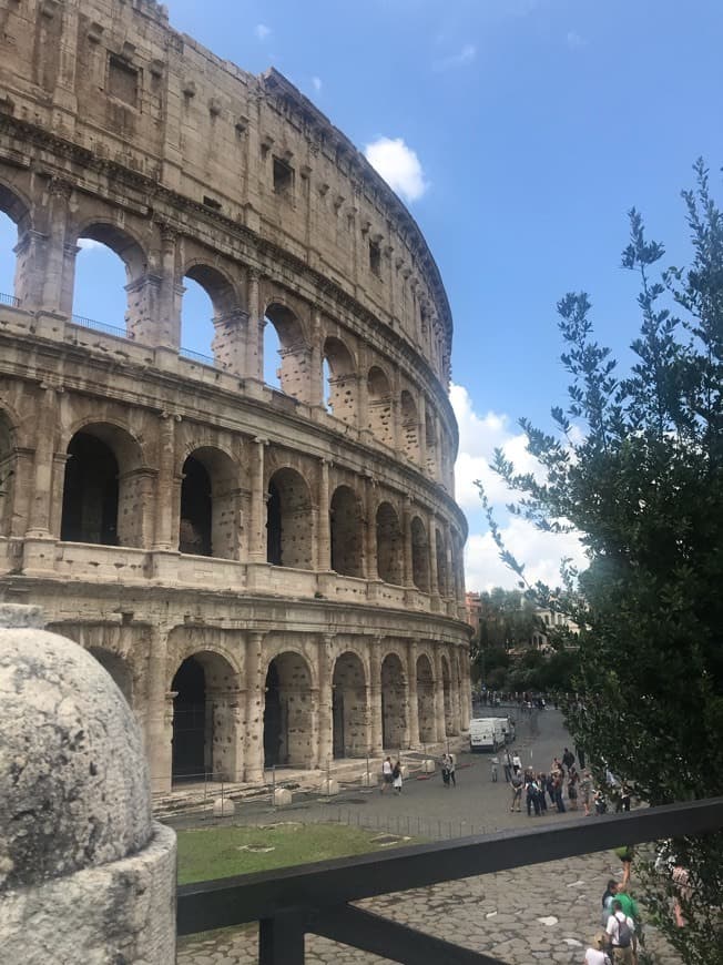 Lugar Coliseo de Roma