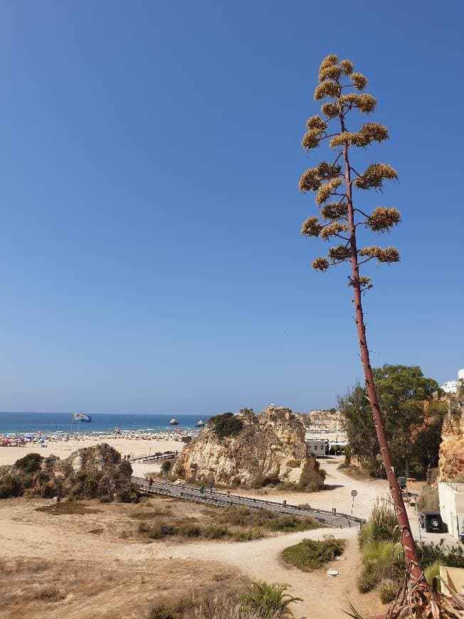 Place Praia da Rocha