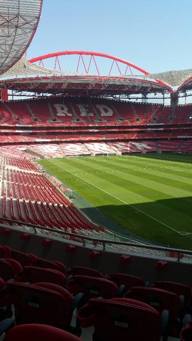 Lugar Estádio Sport Lisboa e Benfica