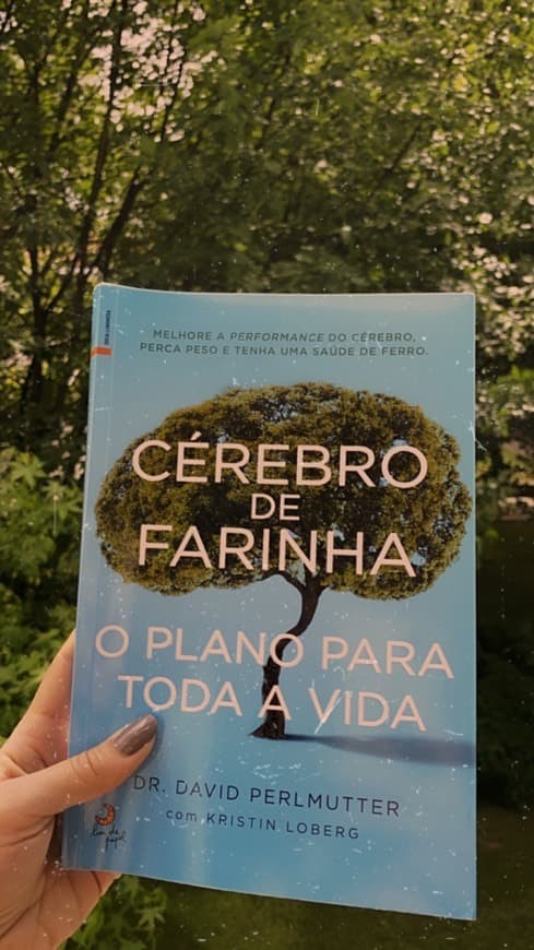 Product Cérebro De Farinha