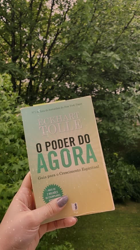 Book O Poder do Agora