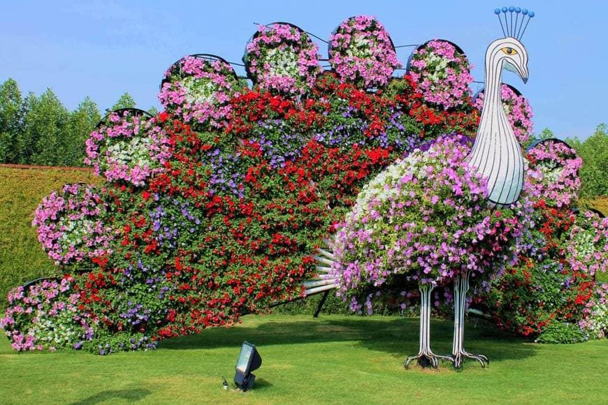 Place Miracle Garden