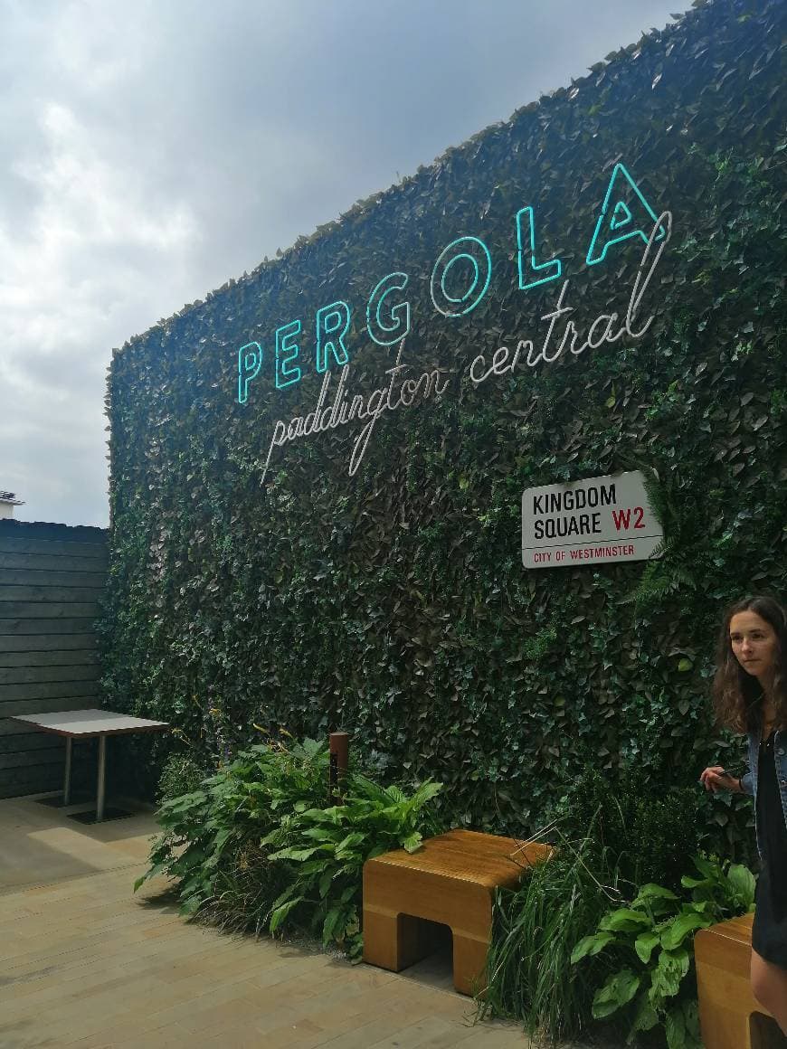 Restaurants Pergola Paddington