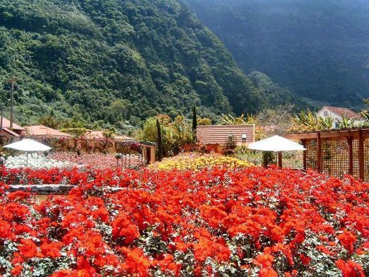 Lugar Pestana Quinta Do Arco