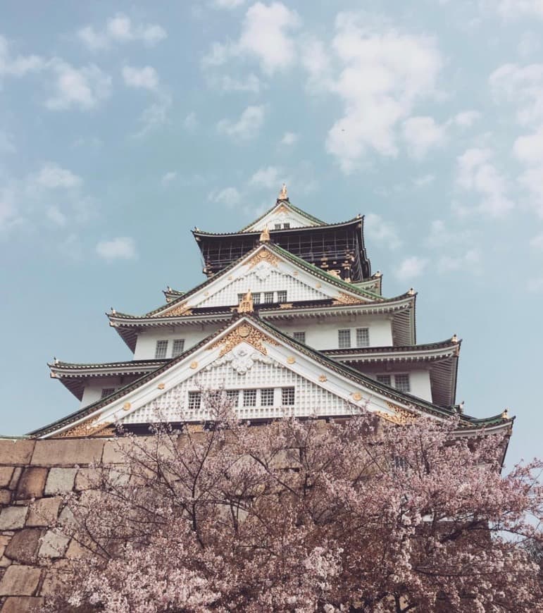 Place Osaka Castle