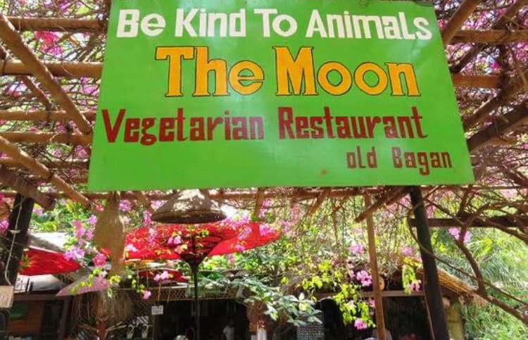 Restaurants The Moon Vegetarian Restaurant