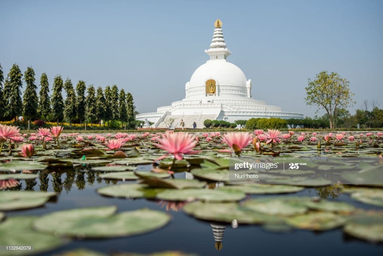 Restaurants Lumbini