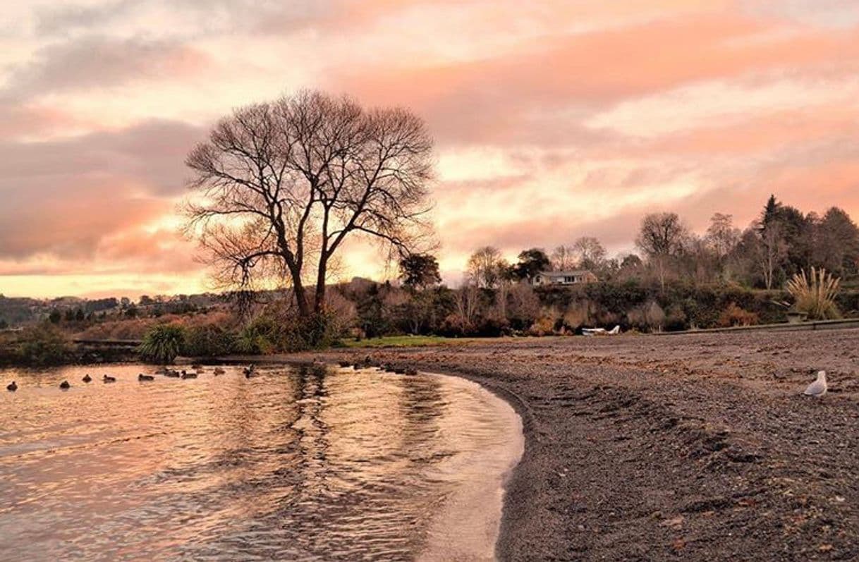 Place Lago Taupo