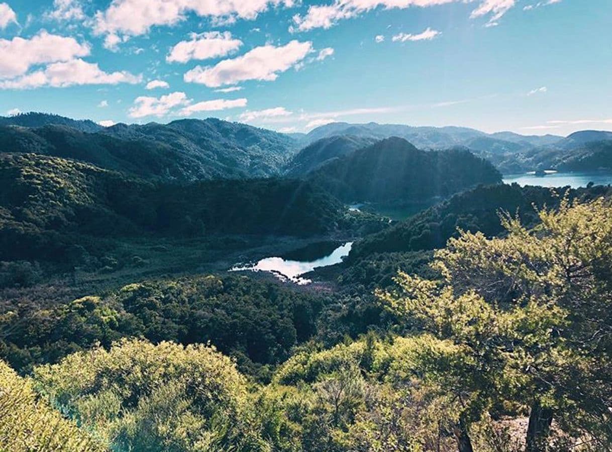 Place Abel Tasman National Park