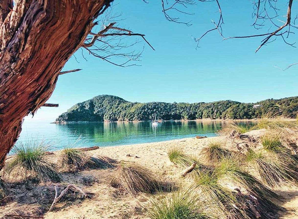 Place Anchorage Bay Abel Tasman