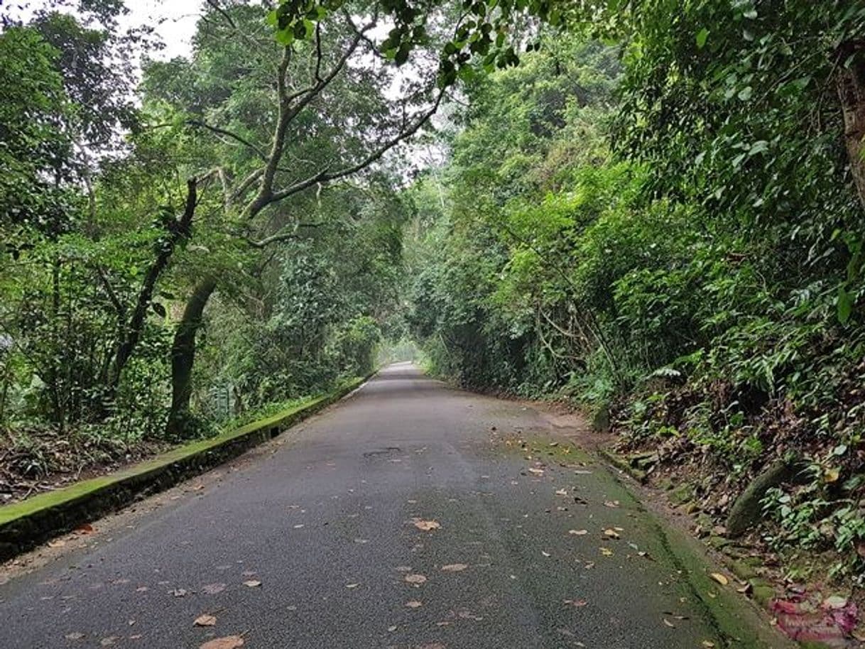 Place Estrada das Paineiras