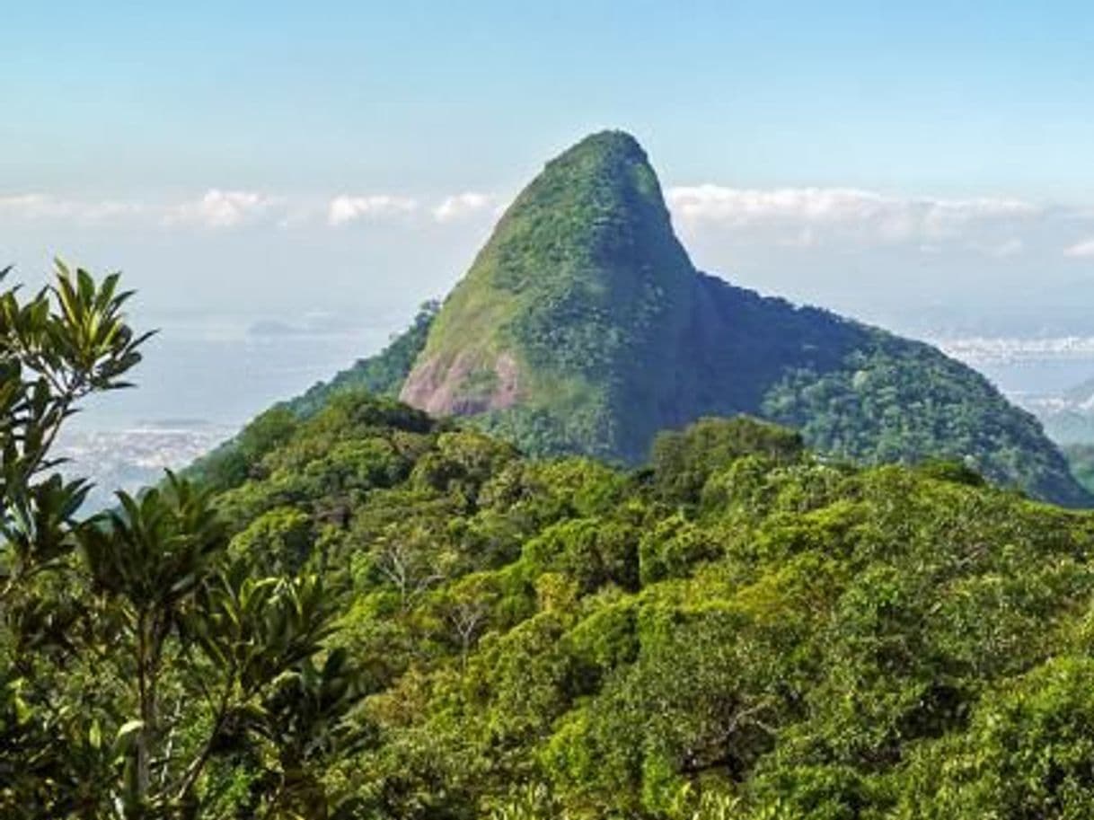 Place Pico da Tijuca